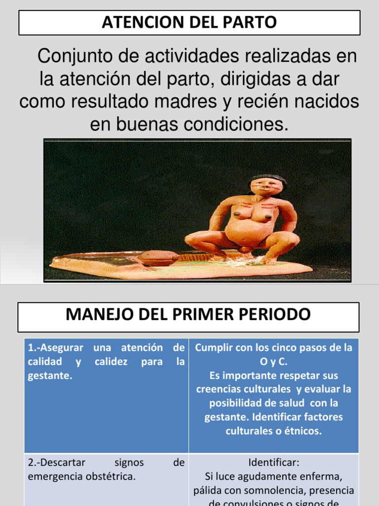 Atención Integral del Parto y Emergencias | PDF | Parto | Salud maternal