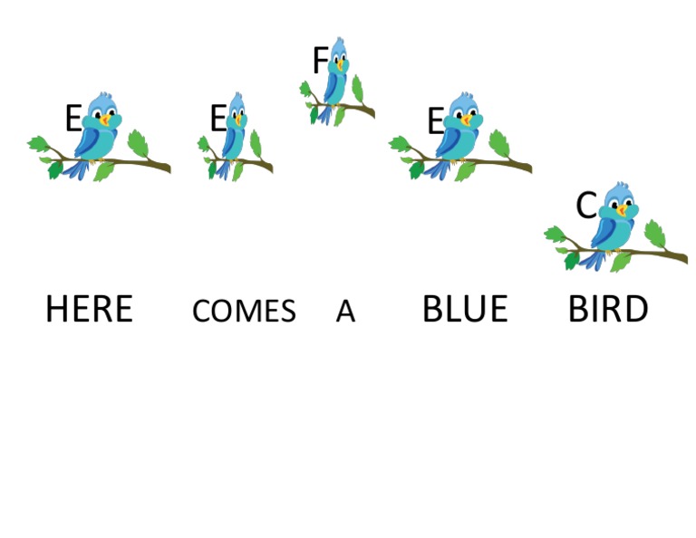 Bluebird | PDF
