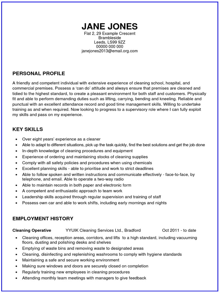 personal statement examples for cv cleaner