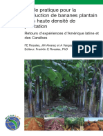 Guide pratique pour la production de bananes plantains.pdf