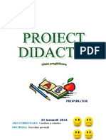 0_1_proiect_dp