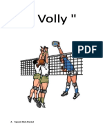 Bola Volly