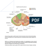 neuro.docx