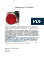 Bacteria Growing Experiments in Petri Plates