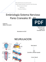 Embriologia Sistema Nervioso y PC XI - XII