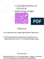 Detection and Segmentation of Cell