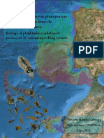 Alvaro Roura PHD Ecologia de Paralarvas Planctonicas e Cefalópodos en Áreas de Aflramiento Costero