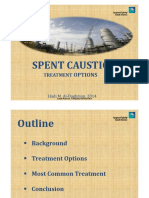 Treatment Options for Spent Caustic