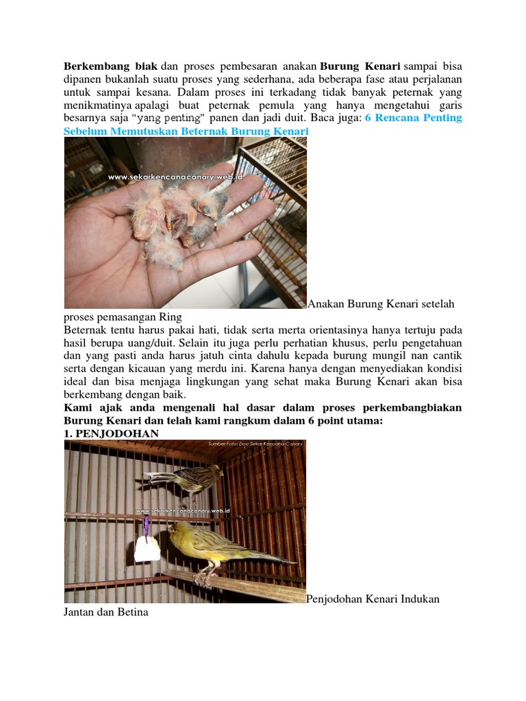 Berkembang Biak