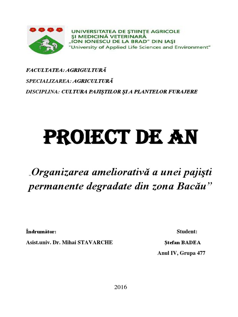 Proiect Badea Stefan Nr. 45 | PDF