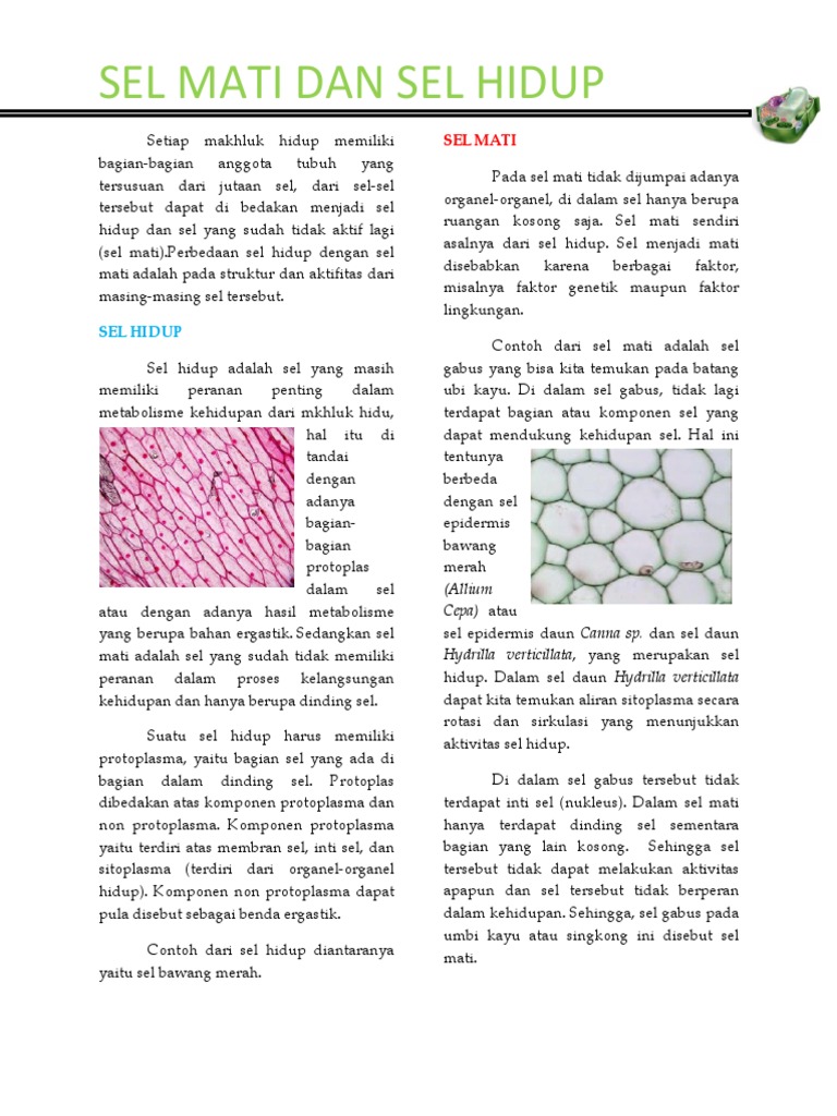 Struktur Sel Hidup Dan Sel Mati - Berbagai Struktur
