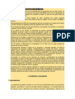 La Contabilidad Ganadera en El Peru