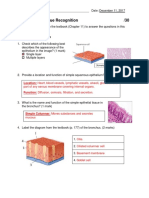 Drew Doiron Tissues Assignment