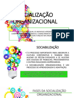 Socialização Organizacional