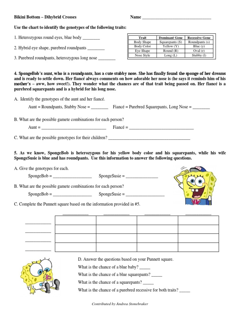 dihybrid cross punnett square worksheet