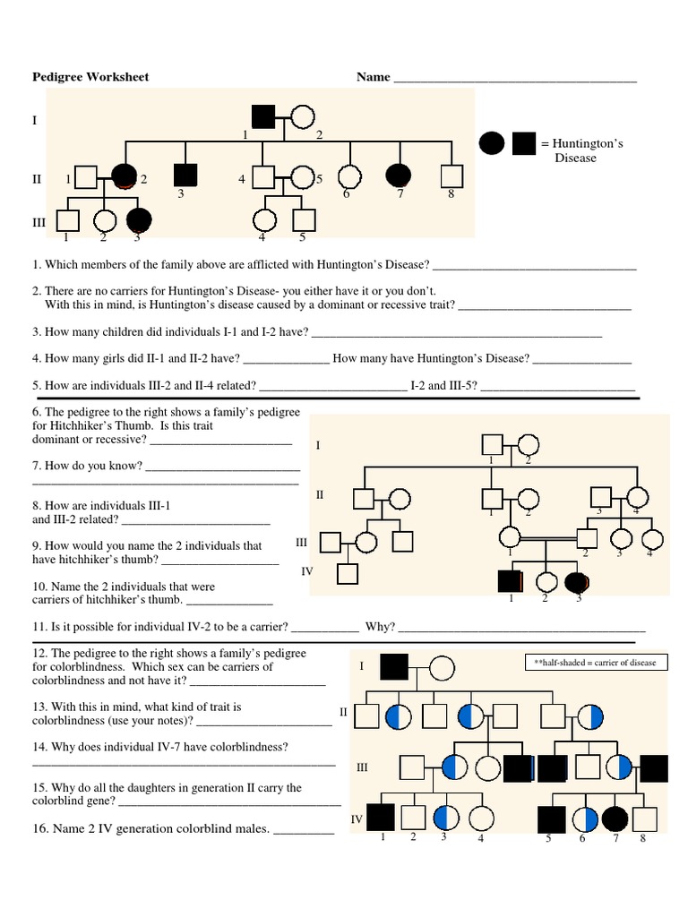 pedigree-chart-worksheet-zygosity-dominance-genetics