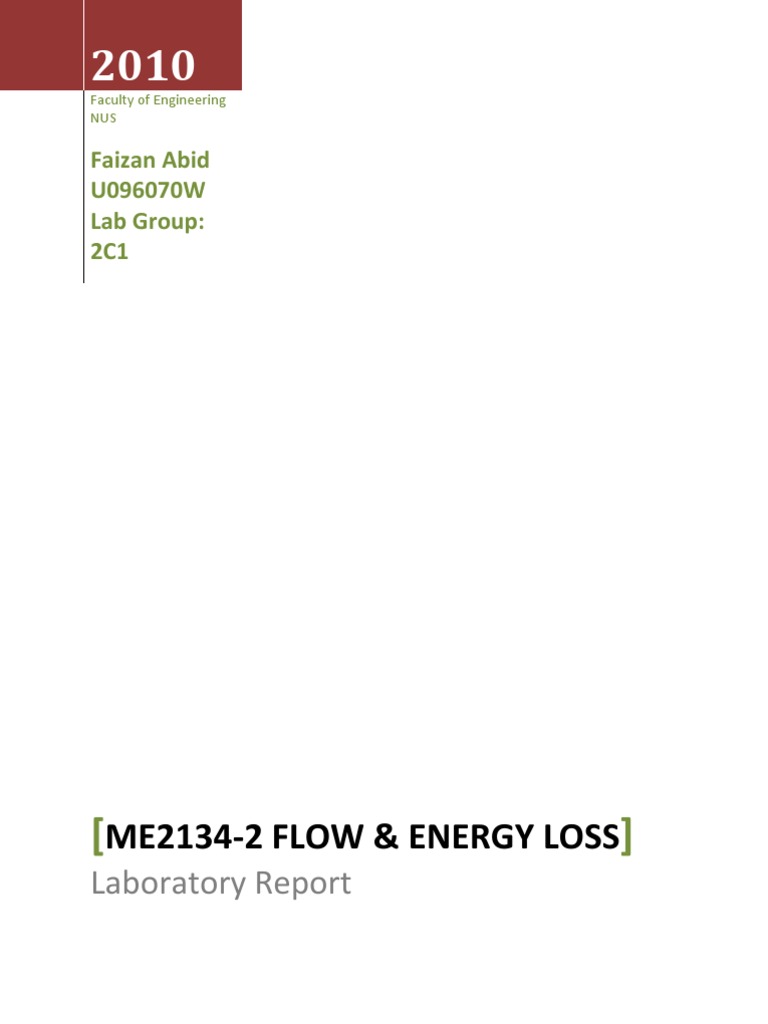 C6 Report | PDF | Flow Measurement | Fluid Dynamics