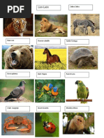 Lista de animales de la A a la Z | PDF | Zoología