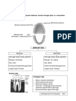 Nota Sains Tahun 3 PDF