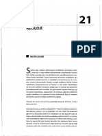 Reoloji PDF