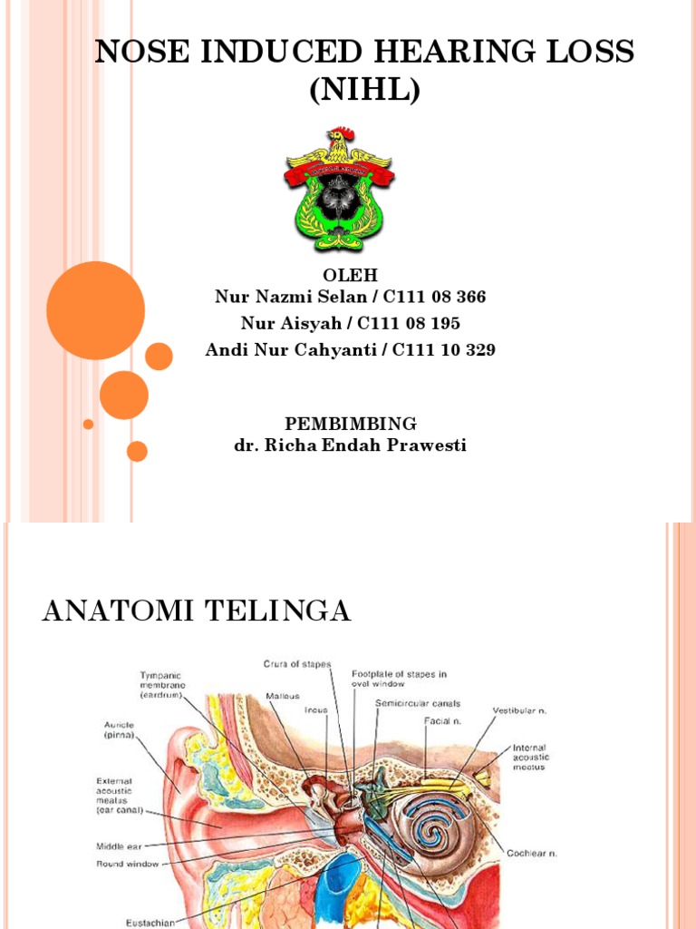Penyebab dan Dampak NIHL | PDF