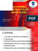 Mecanismul Contractiilor Musculare