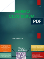 Clostridium: Generos patógenos y enfermedades zoonóticas
