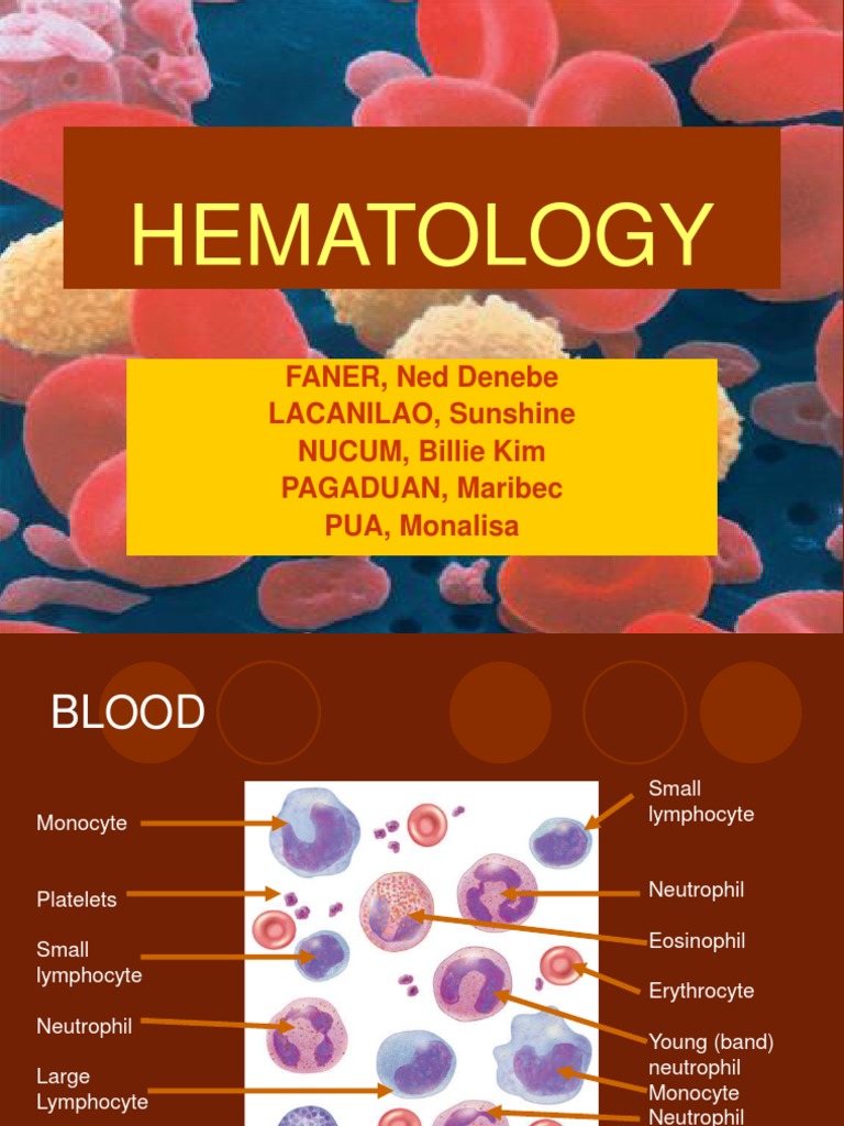 Hematology Overview: Anemia & Sickle Cell | PDF | Sickle Cell Disease ...