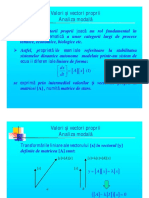 DSEE Prezentare Vectori Si Valori Proprii