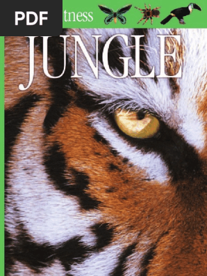 Jungle