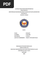 Download Laporan Mangrove by Husnul Hatima SN369064237 doc pdf