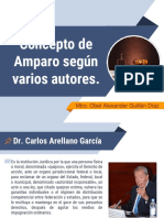 Concepto de Amparo Según Varios Autores.