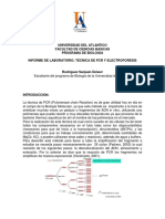 Técnicas de PCR y electroforesis