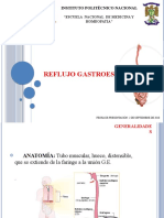 Reflujo Gastroesofágico: Instituto Politécnico Nacional