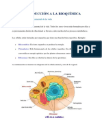 Introducción A La Bioquímica