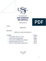 TRABAJO-FINAL-hidrología.docx