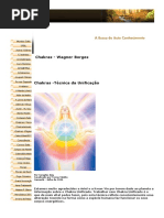 260551144-CHACRAS-docx