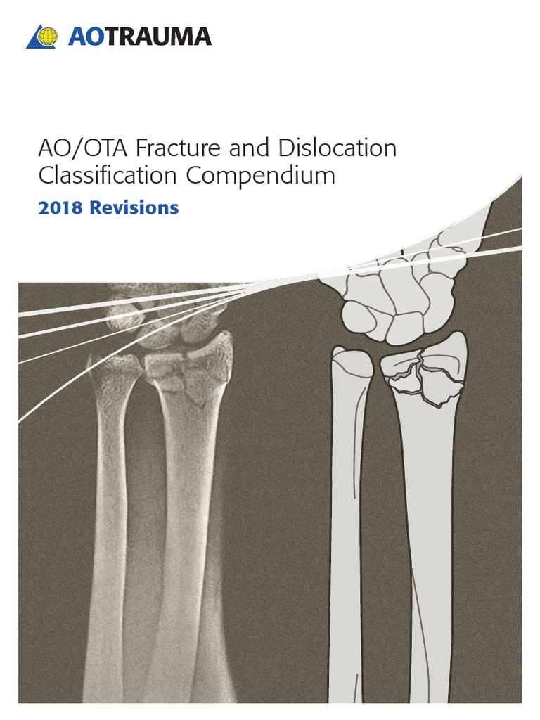 Aoota Classification 18 Info Booklet 1 Anatomical Terms Of Location Limbs Anatomy