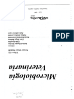 Microbiología Veterinaria PDF