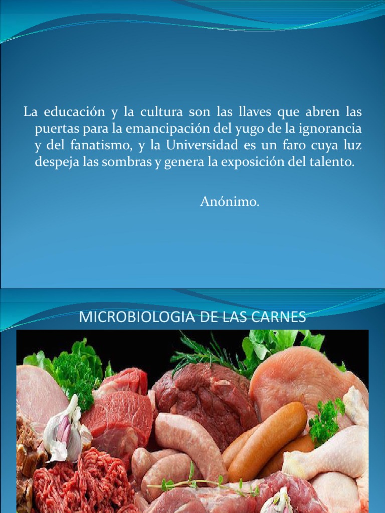 Microbiología y descomposición de la carne | PDF | Curado (Conservación ...