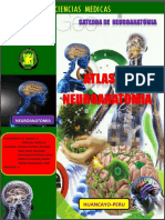 Atlasneuroanatomia 150626160003 Lva1 App6892