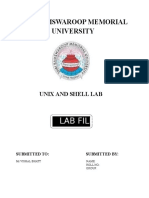 Lab File: Shri Ramswaroop Memorial University