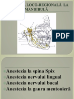 Anestezia Mandibula 2014