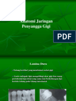 jaringan-penyangga.pdf