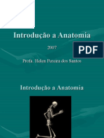 Introdução A Anatomia