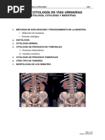 04 Cio-Citologia Vias Urinarias