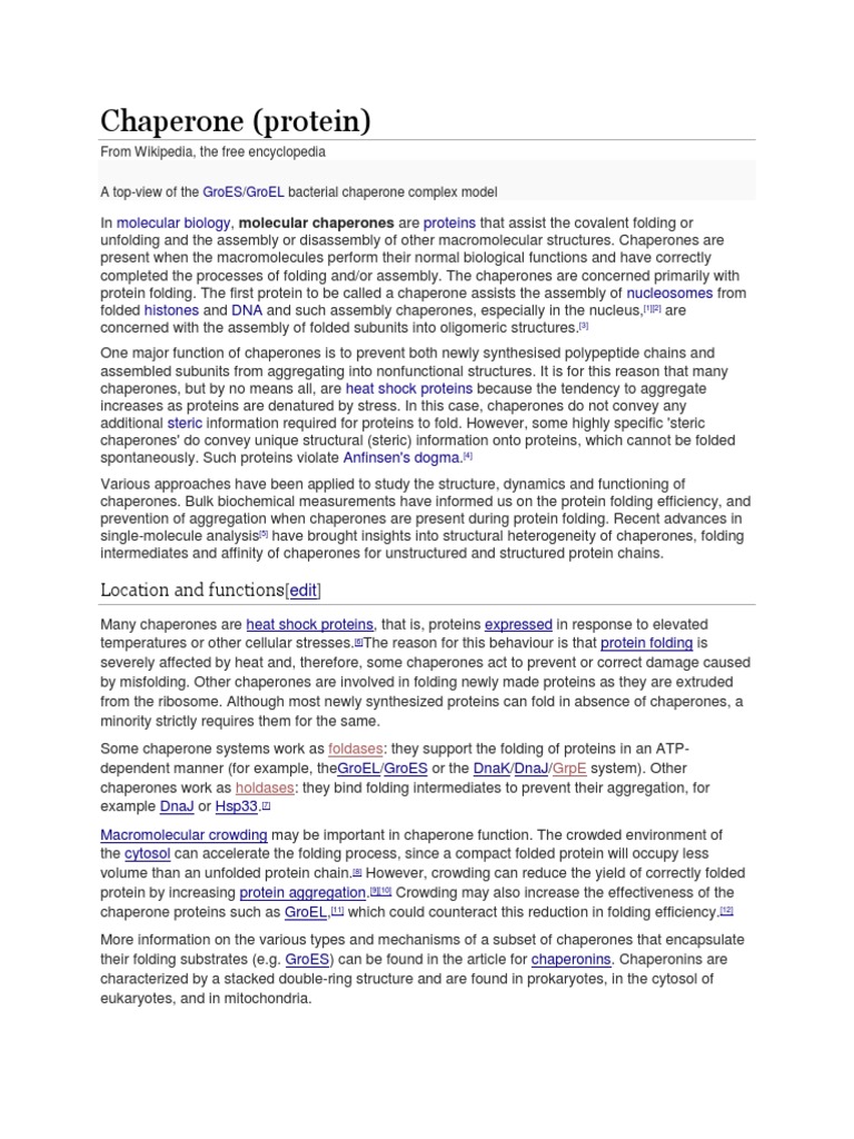 Chaperon Proteins PDF Chaperone (Protein) Structural Biology