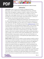 Adwords Business Regional Winners America Pre Campaign Report