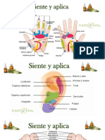 SIENTE Y APLICA.pdf