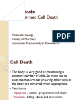 Apoptosis Programmed Cell Death